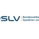 Logo DSLV